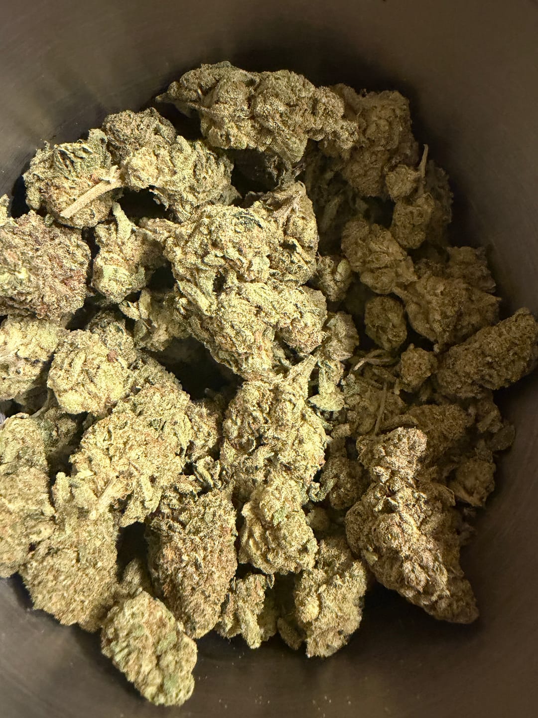 Customer photo review of Purple Hindu Indoor - Bulk - Indica
