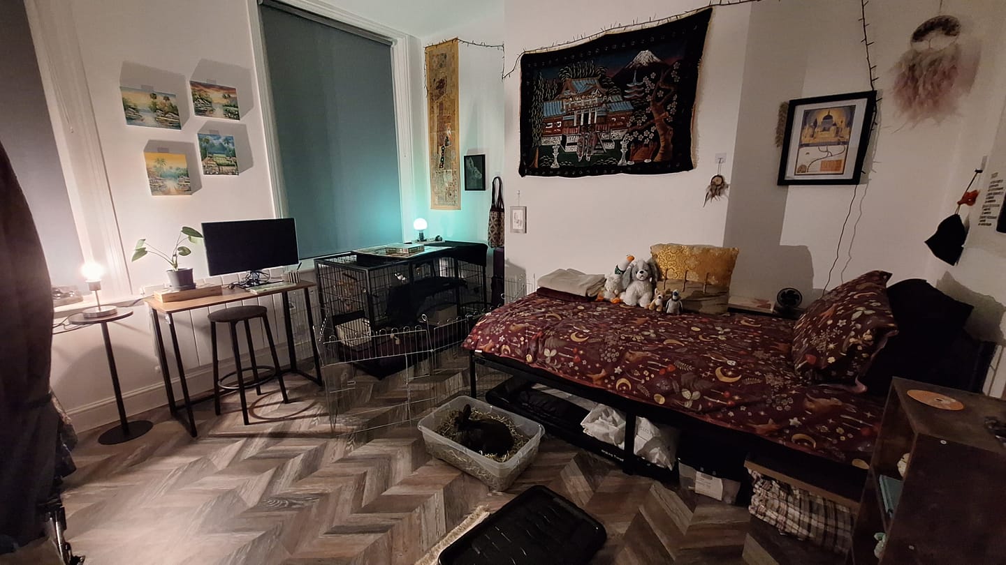 Customer photo review of First Cut Timothy Hay - Ultra Premium Canadian Hay for Rabbits and Guinea Pigs