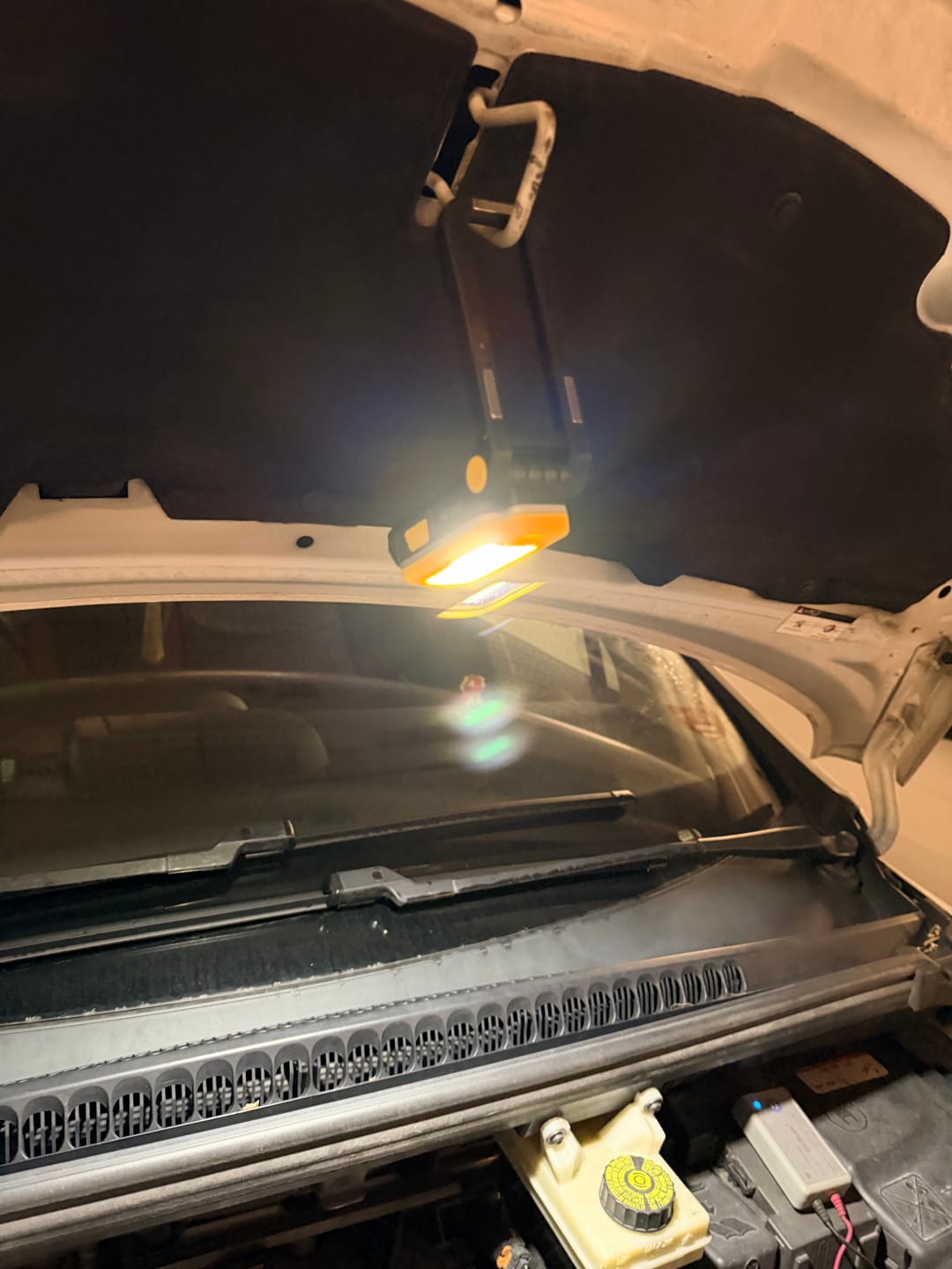 Customer photo review of NWL20 - 600 lumens