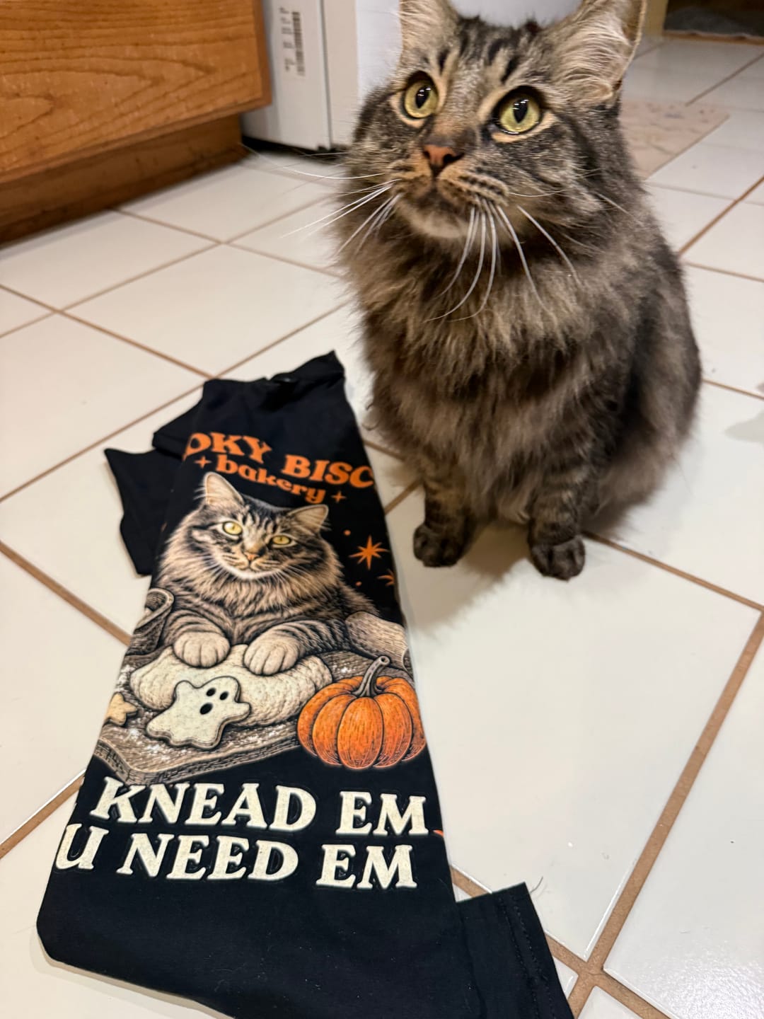 Customer photo review of Spooky Halloween Custom Pet T-shirt