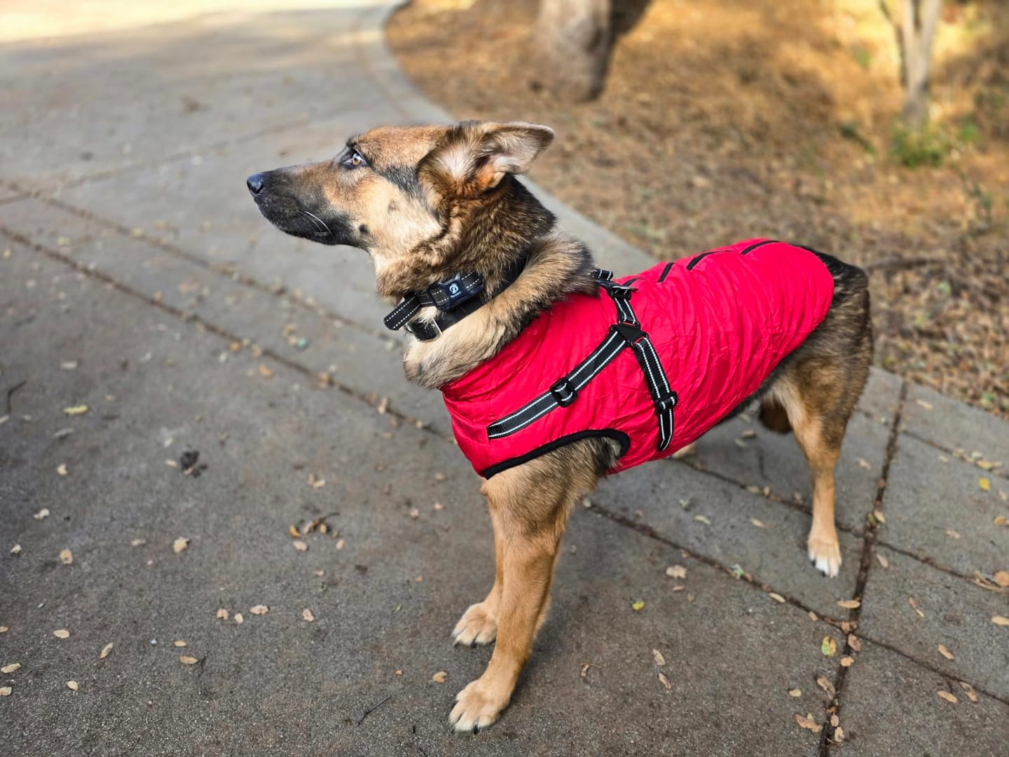 Customer photo review of Plunfy™ Abrigo 3 en 1