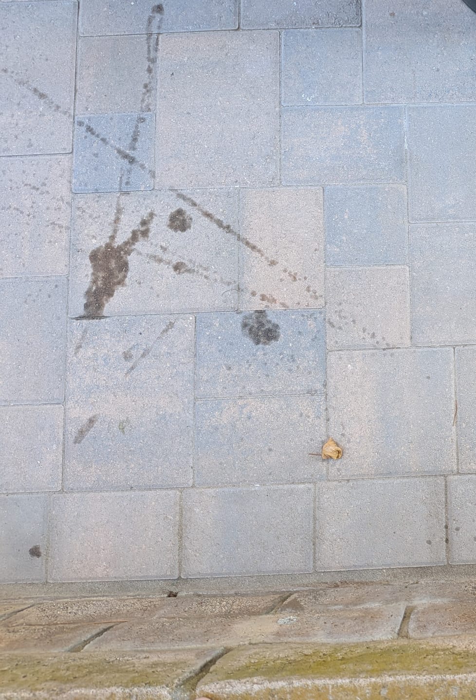 Customer photo review of Pull It Out Concrete Oil Stain Remover