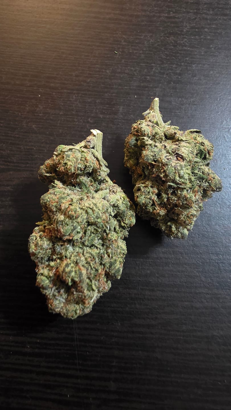 Customer photo review of Satsuma Sherb Exotic THCA