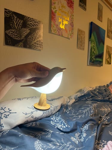 Customer's hand holding a glowing, bird-shaped Glow Bird lamp in a bedroom.