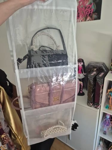 Customer photo review of LayerStore Bag Hanger