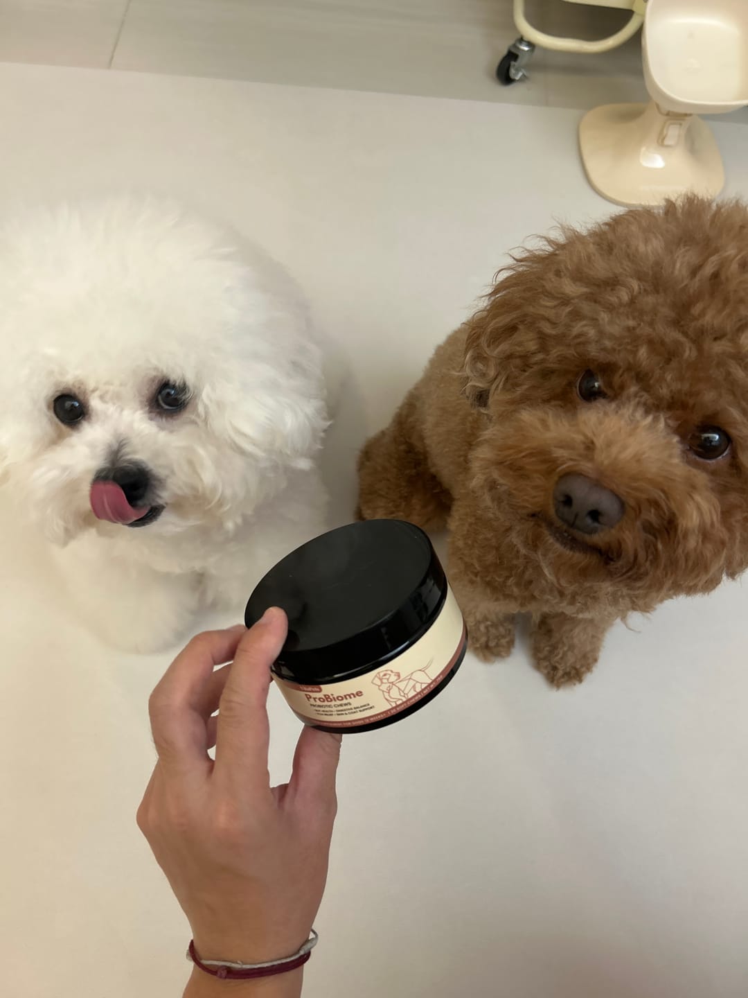 Customer photo review of ProBiome™狗狗益生菌軟粒