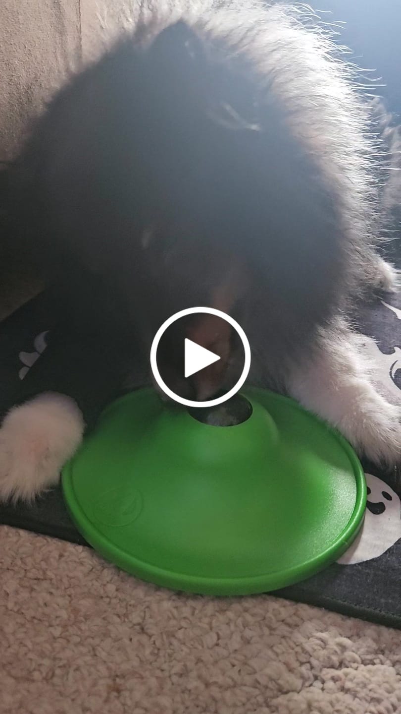 Customer video review of Soothing Saucer®