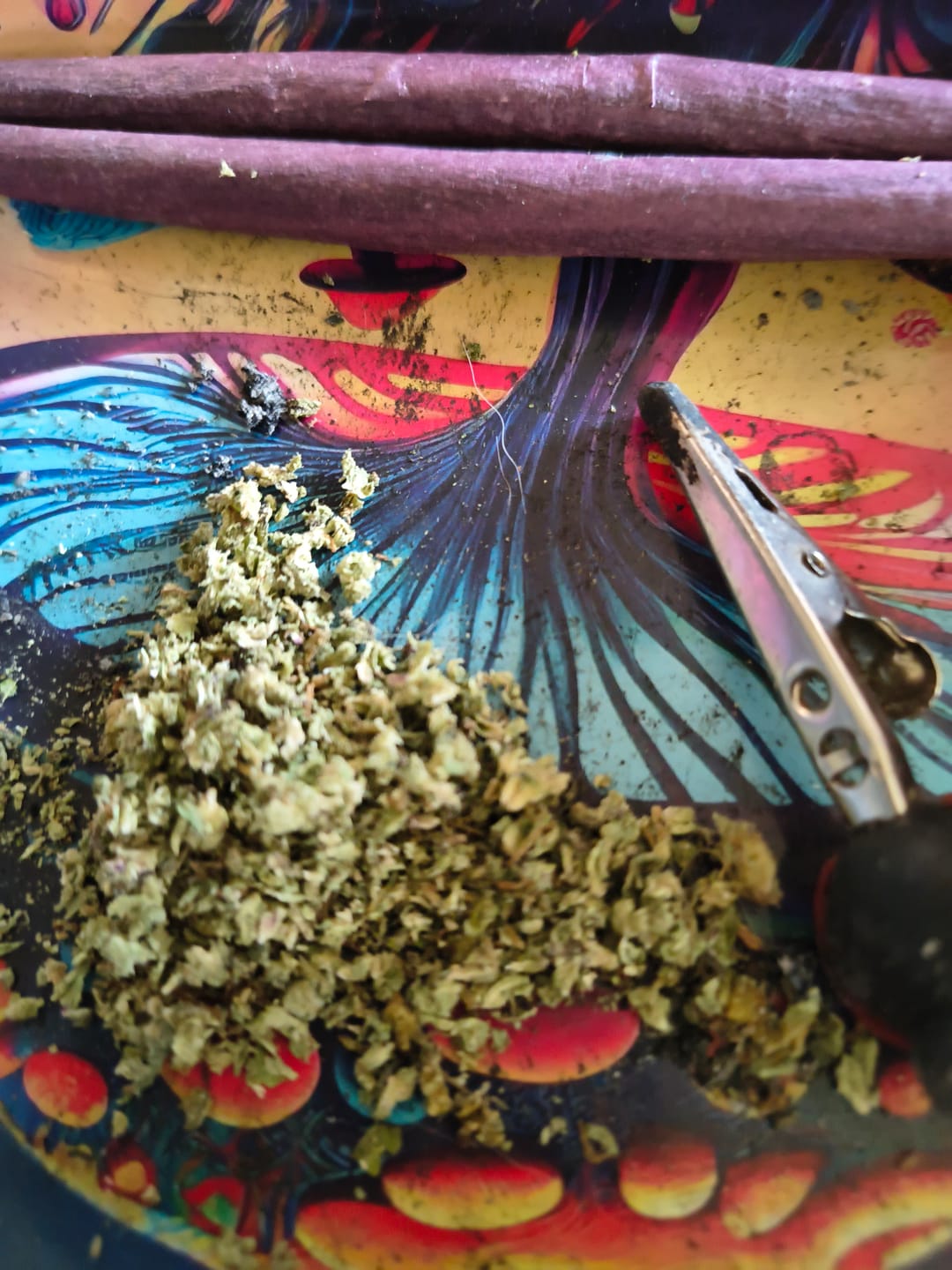 Customer photo review of Biscotti THCA Flower (Budget)
