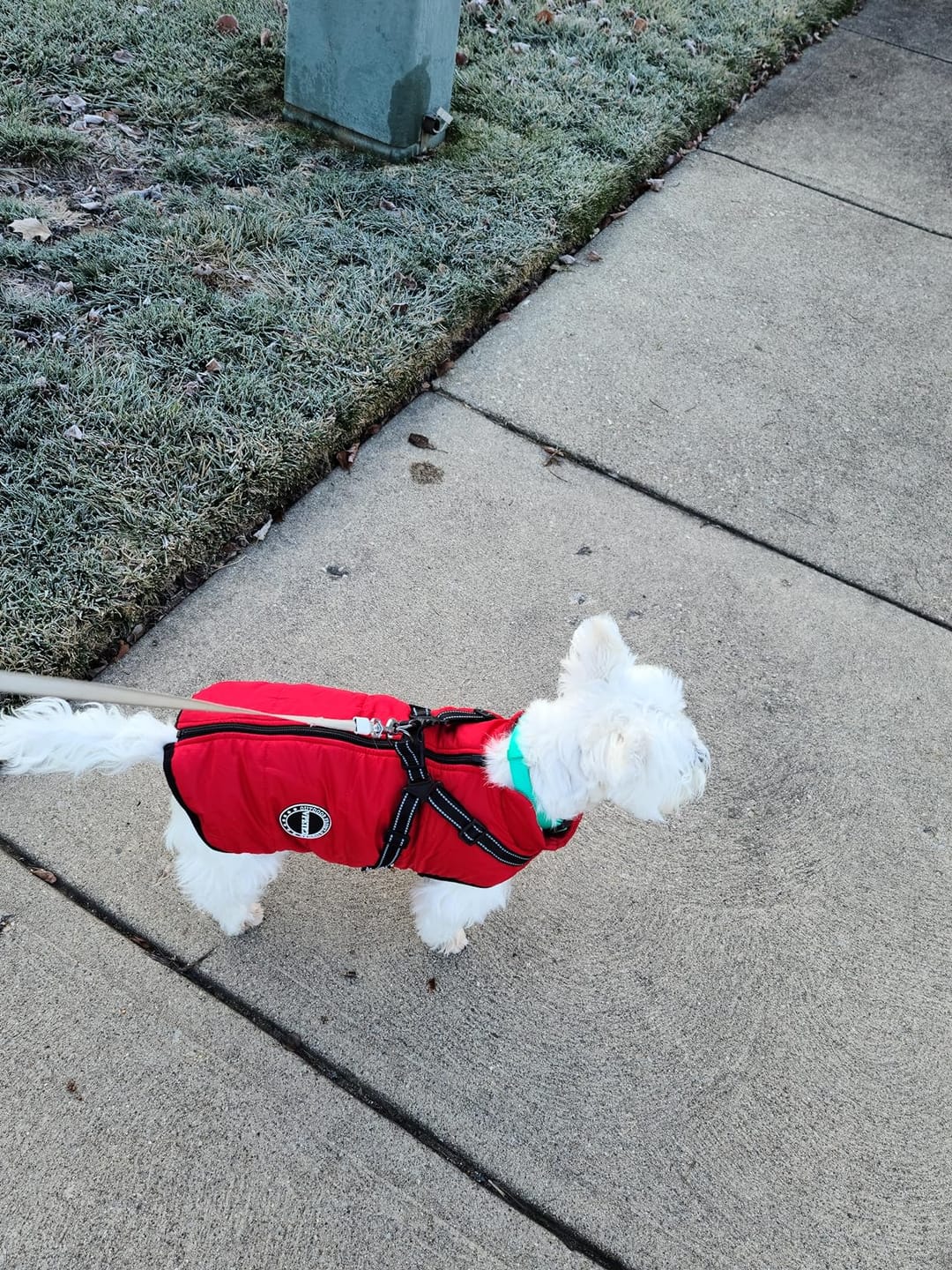 Customer photo review of Plunfy™ Abrigo 3 en 1
