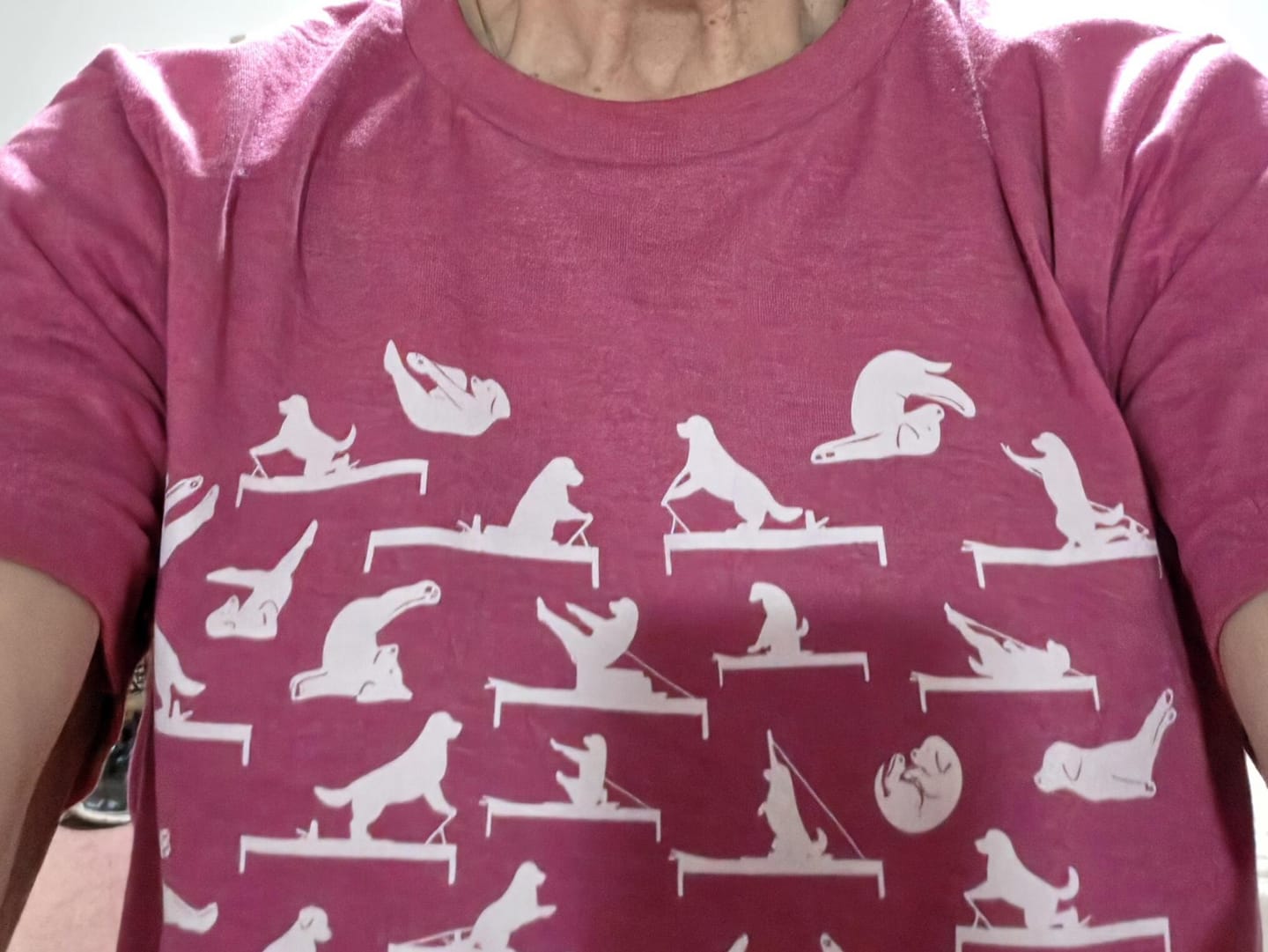 Customer photo review of Dog Pilates Pose Heart T-shirt