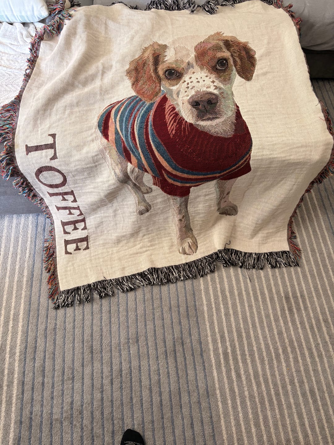 Customer photo review of Custom Heirloom Pet Throw Blanket