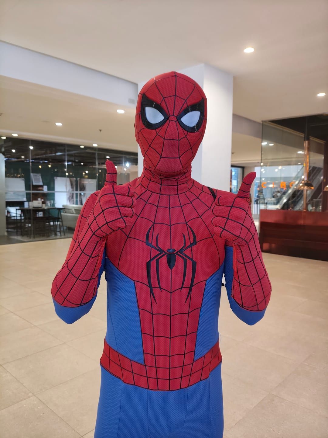 Customer photo review of Spider Man: Brand New Day Suit (Screen Print) (Cosplay Grade)