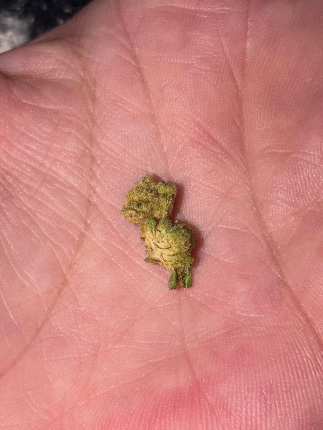 Customer photo review of LITTLES BRAND - Gorilla Glue - 28 Grams Littles - Hybrid