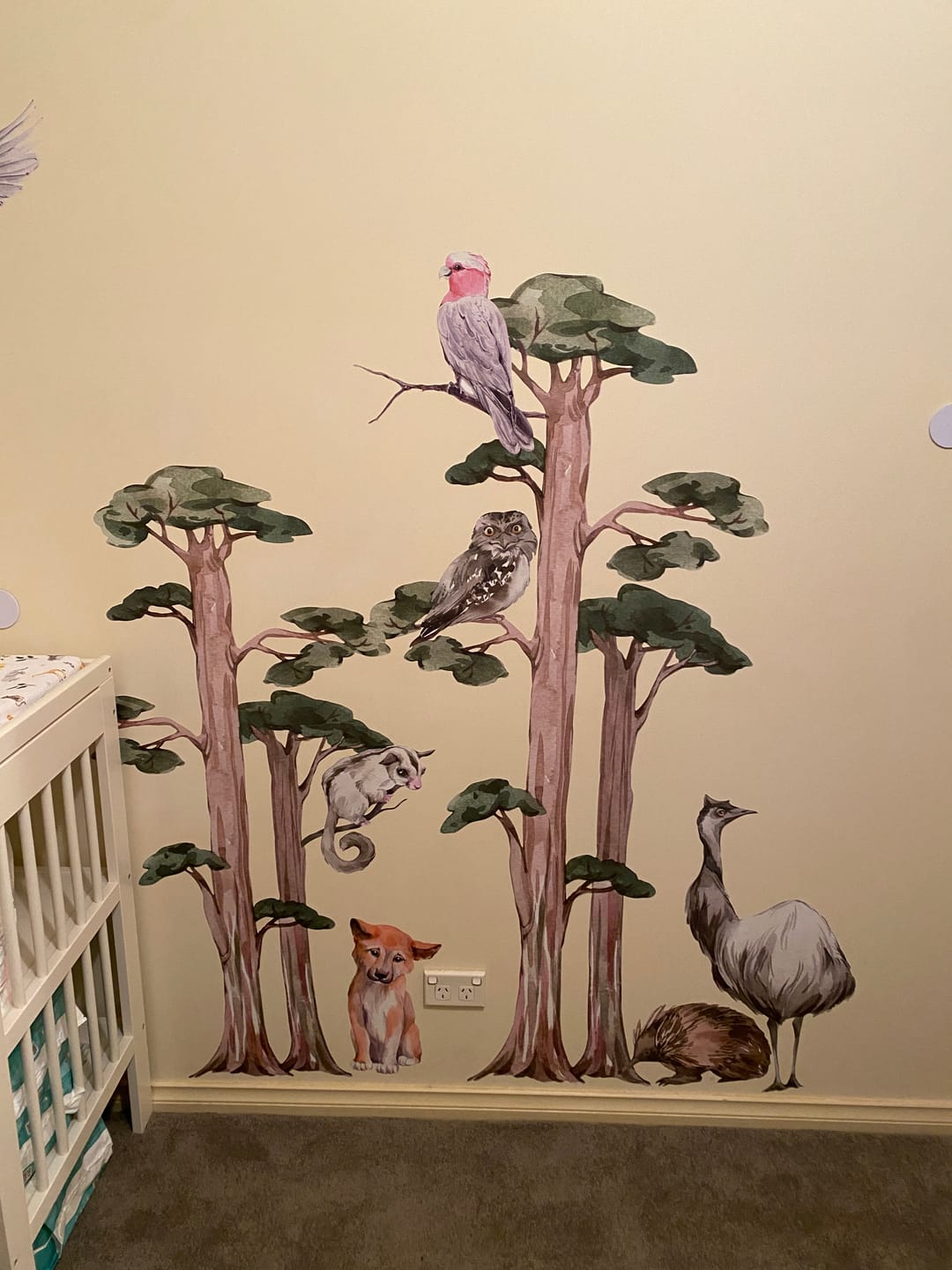 Customer photo review of Pick 6 Australian Animal Wall Stickers