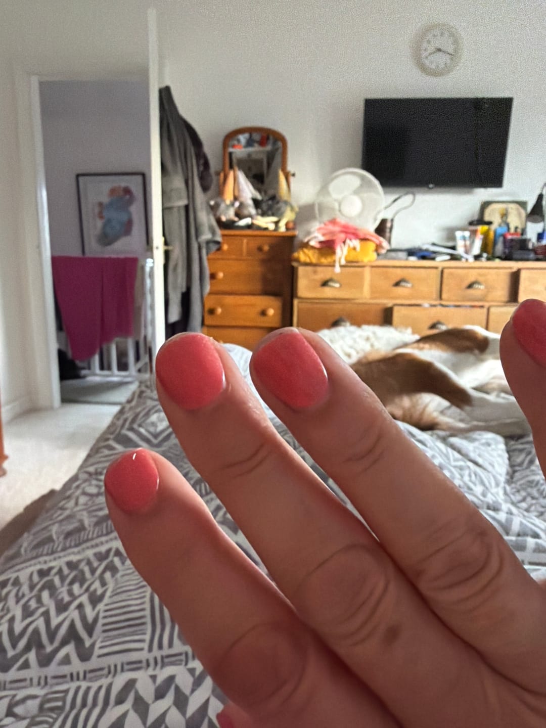 Customer photo review of Holographic Neutral Short Oval