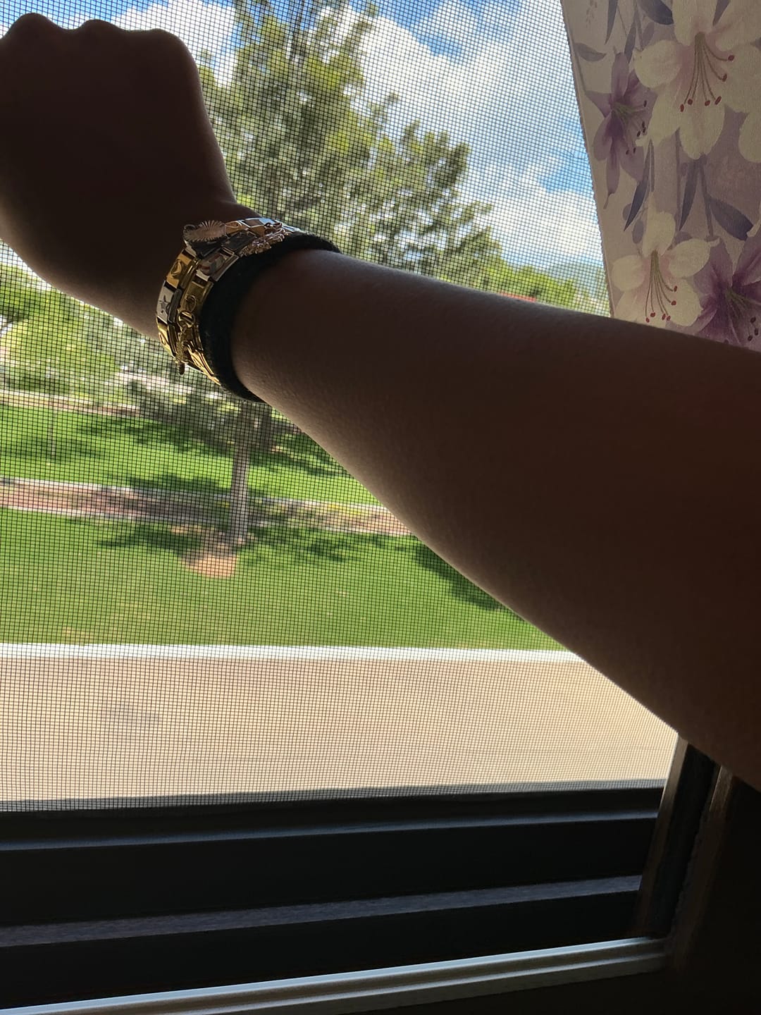 Customer photo review of Charm Gatos