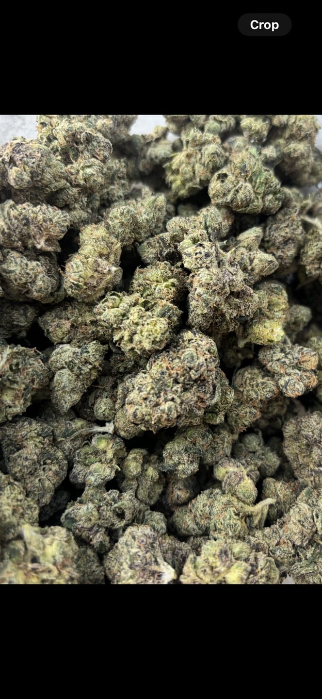 Customer photo review of Gary Cherry Indoor Mediums - Bulk Mediums - Indica