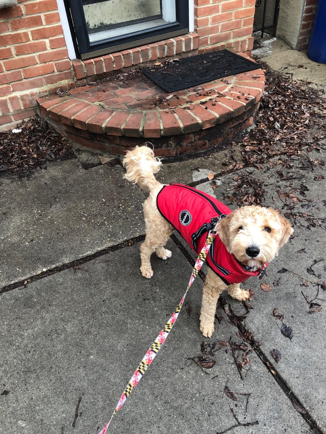 Customer photo review of Plunfy™ Abrigo 3 en 1