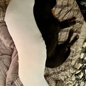 Customer photo review of The CuddleLog