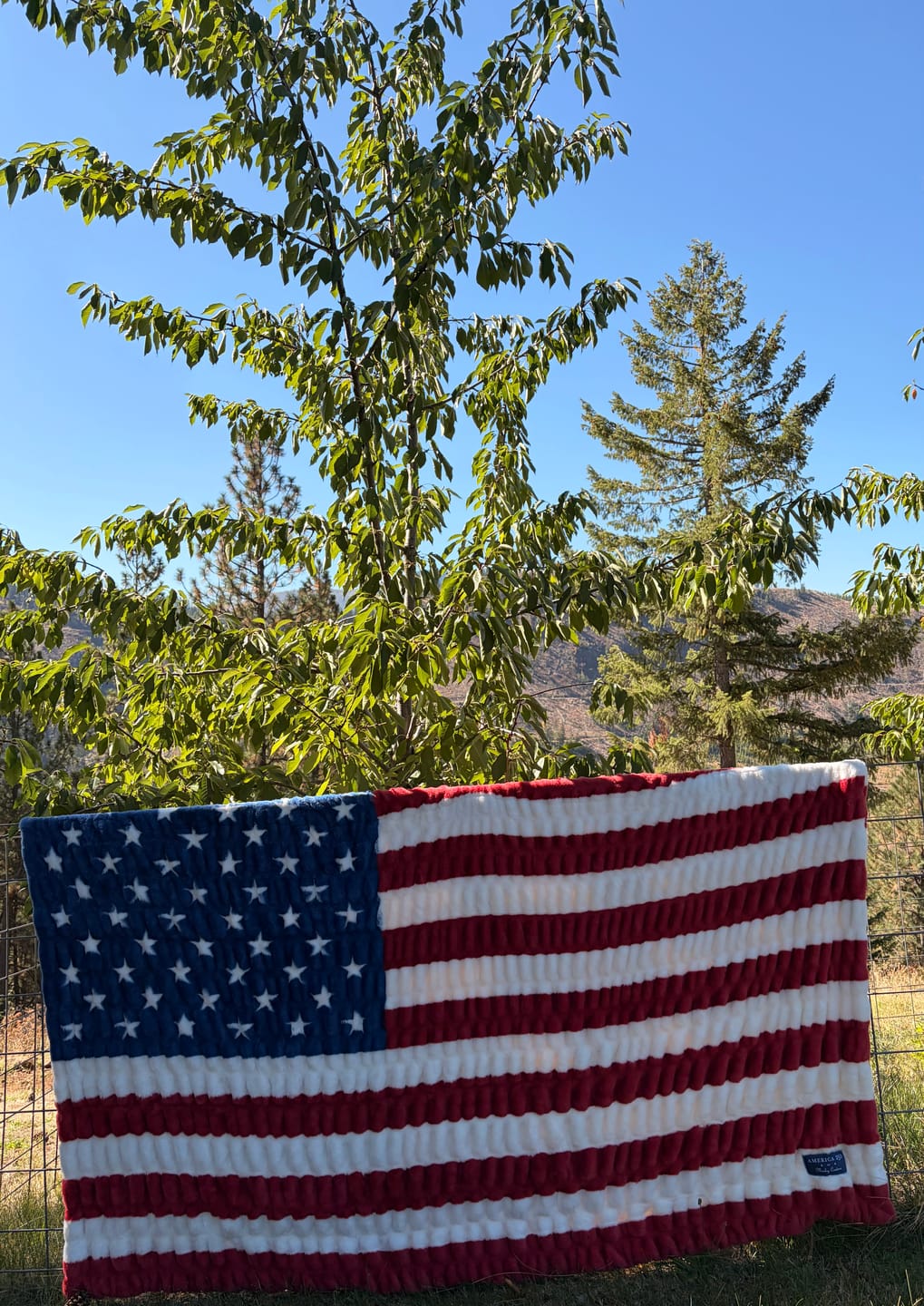 Customer photo review of Hugs Flag Blanket