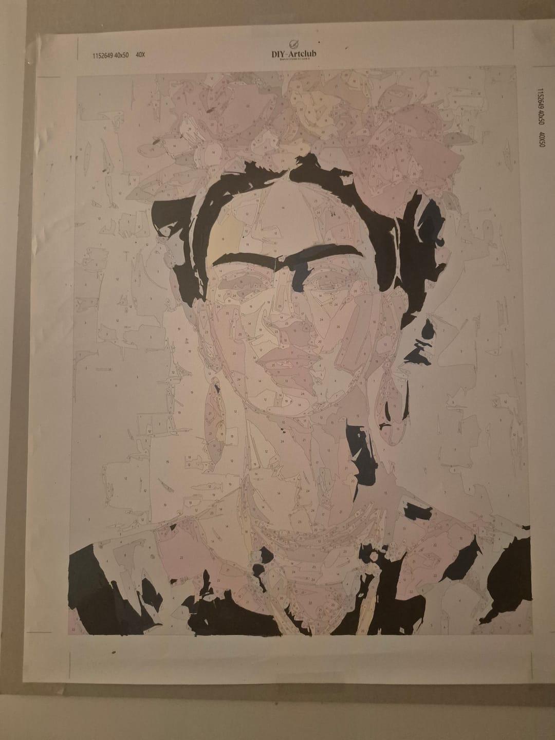 Customer photo review of Expressive Frida | Paint by Number