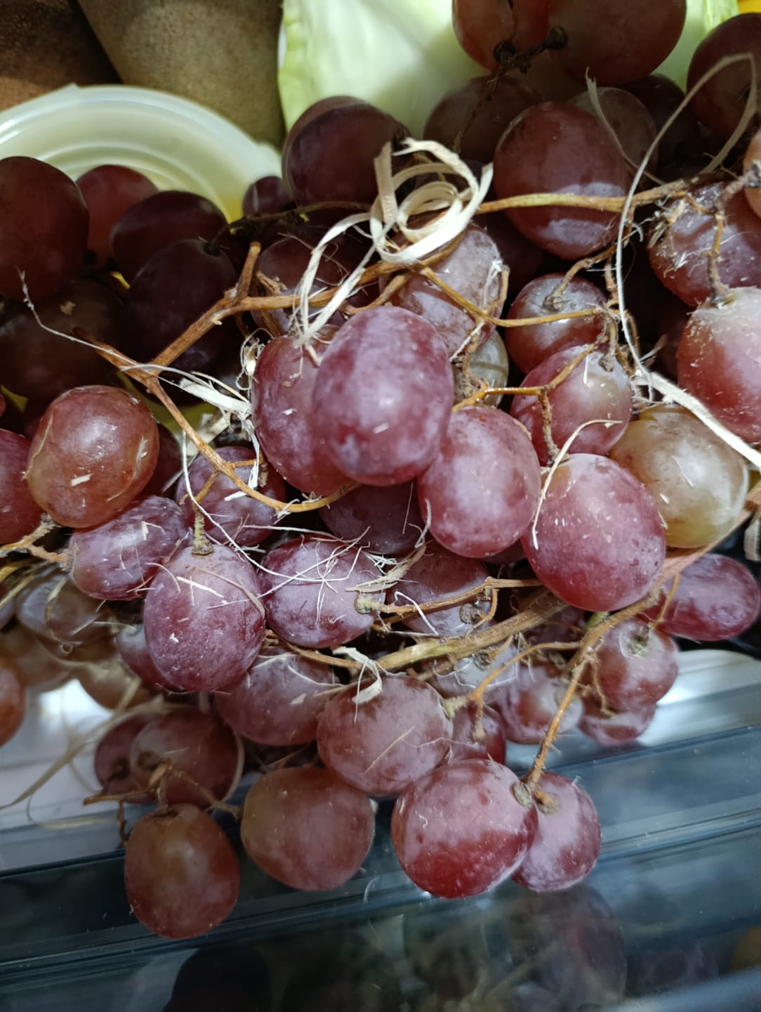 Customer photo review of Bio Trauben Red Globe von Filippo aus Sizilien Aktionspreis