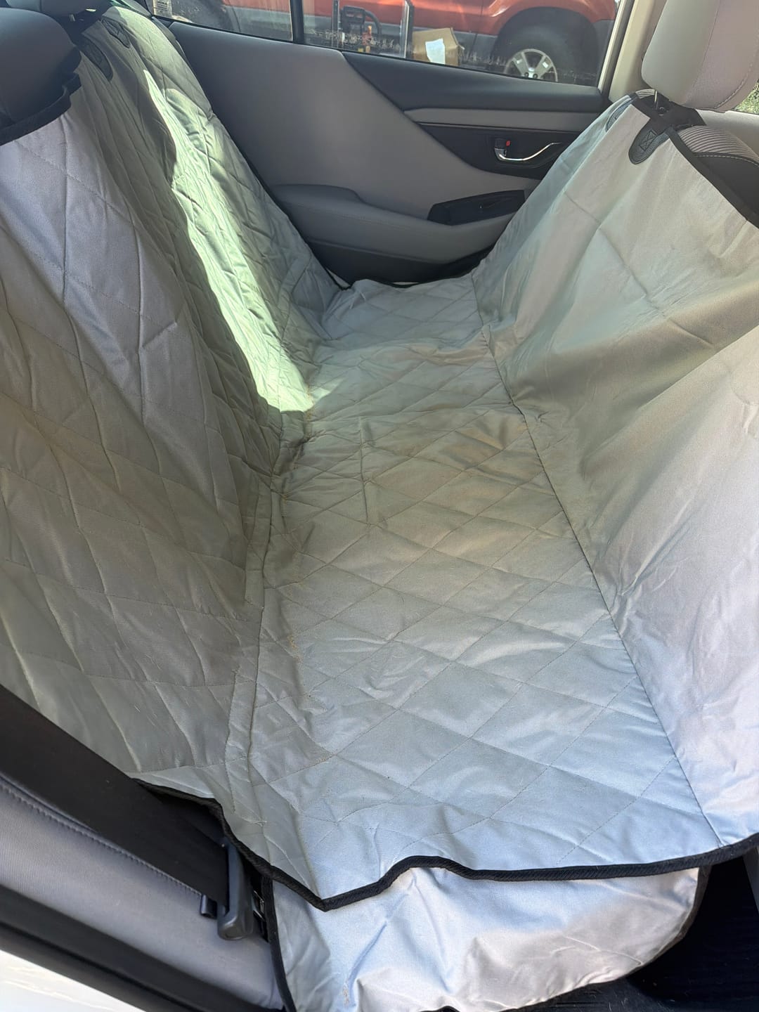 Customer photo review of Dog Rear Seat Cover with Hammock - Regular