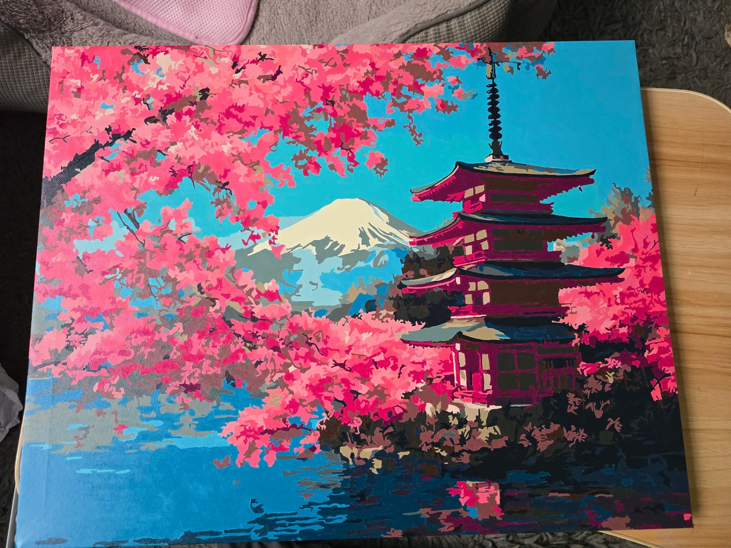 Customer photo review of Fuji blossoms | Paint by Number