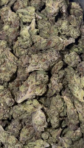 Customer photo review of Light Assist THCA Smalls