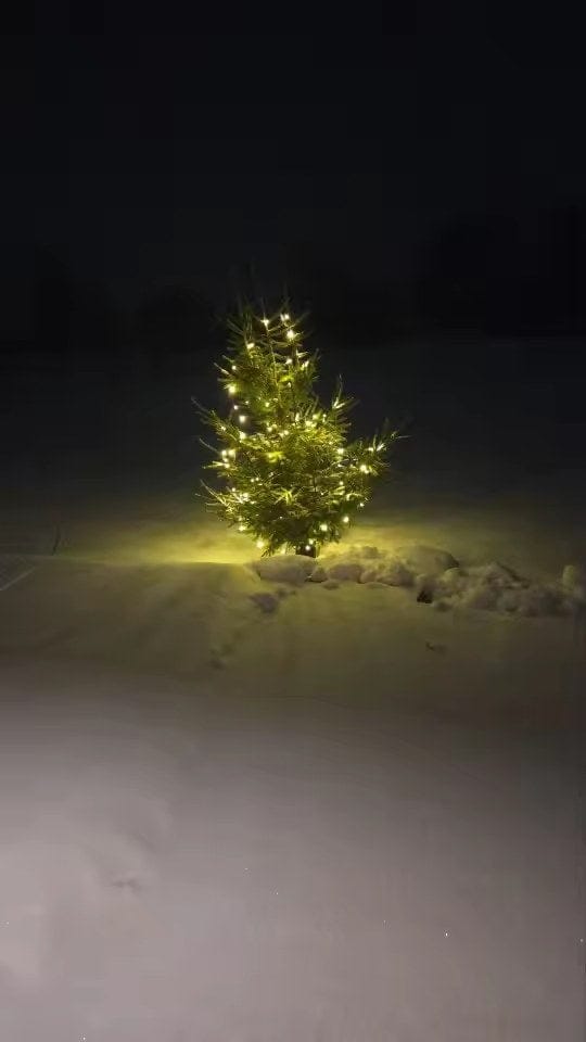 Customer photo review of LumiFest | LED Lichterkette Außen