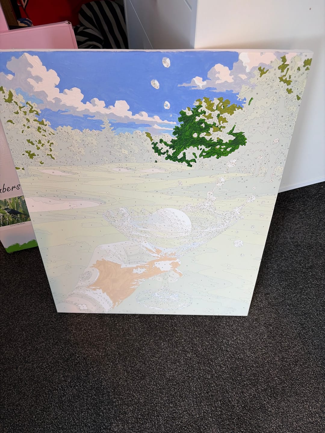 Customer photo review of Fancy Chickens Society | Paint by Number