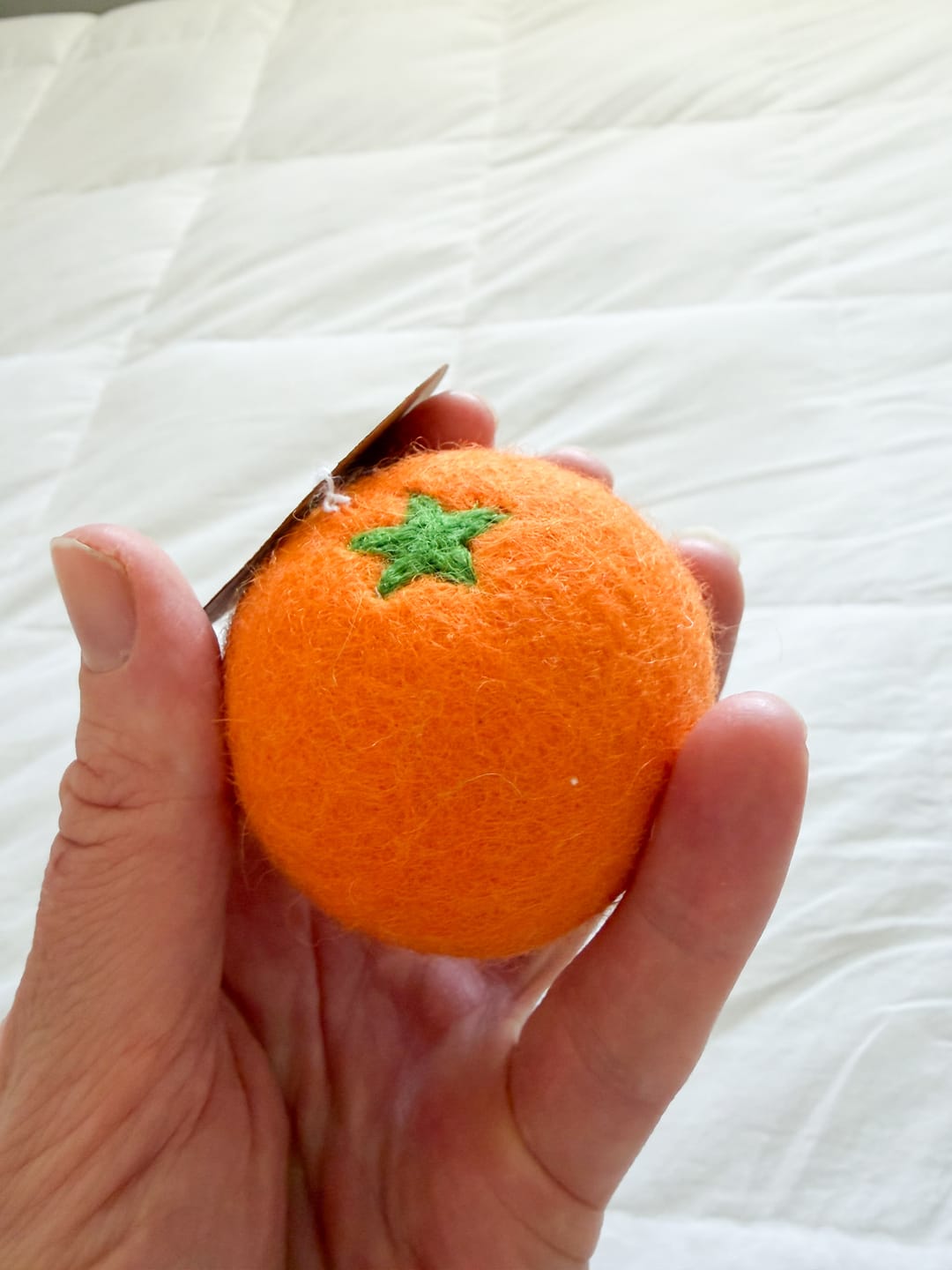 Customer photo review of Felt Orange