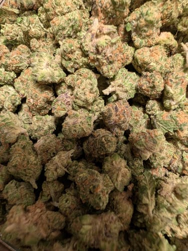Customer's Grapefruit Diesel smalls, showing dense green buds with orange hairs