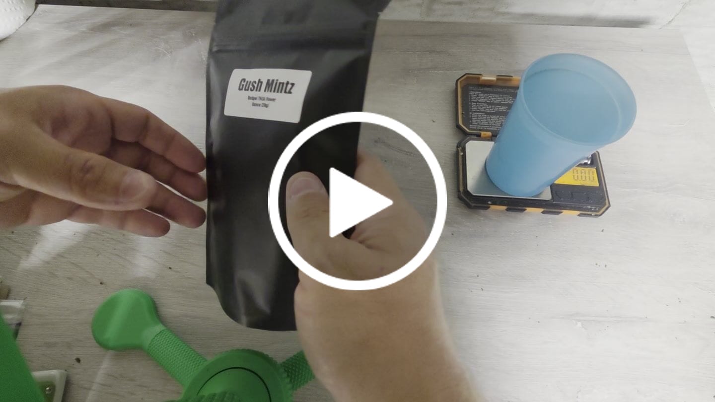 Customer video review of Gush Mintz THCA Flower (Budget)