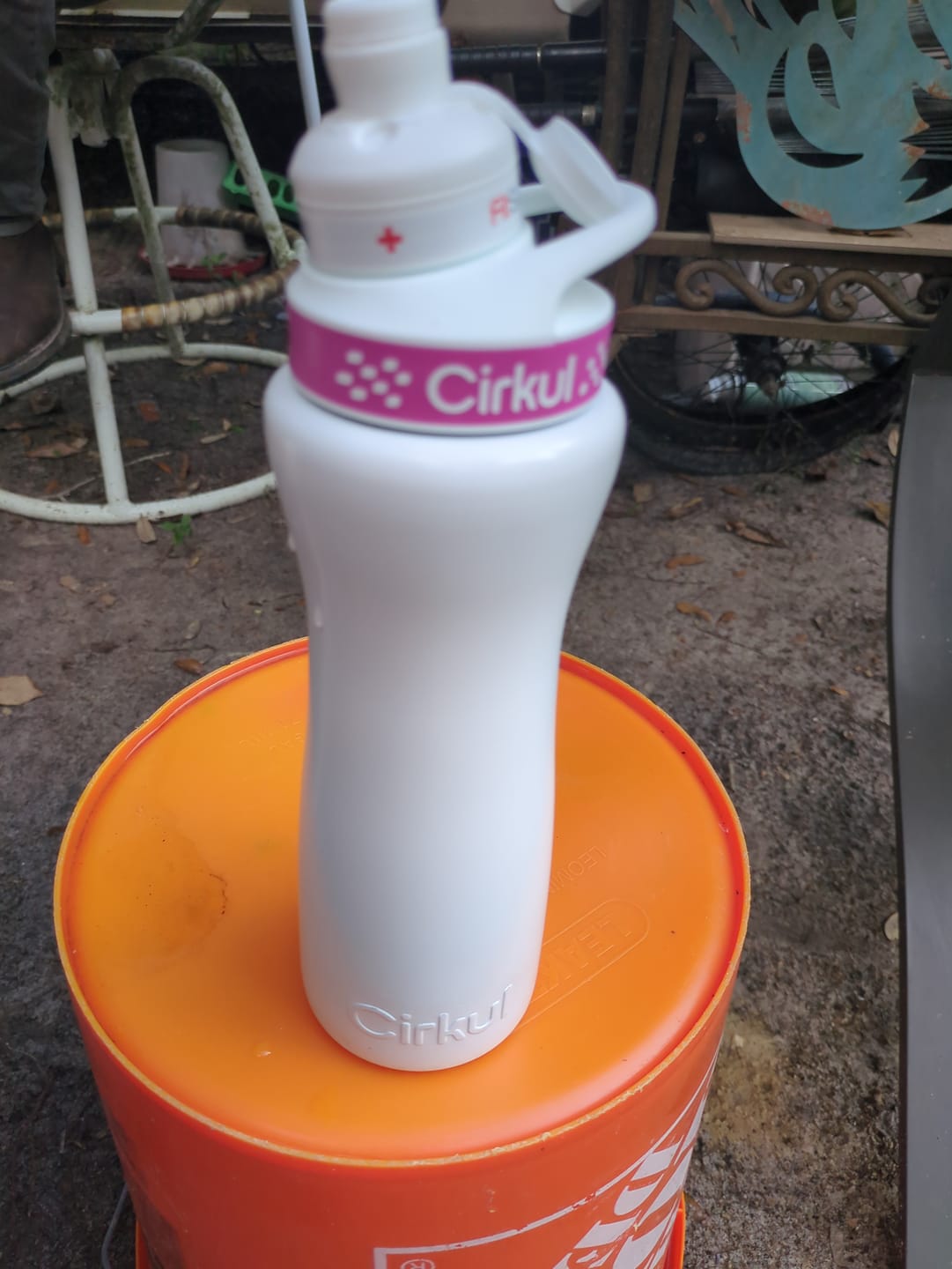 Customer photo review of FitSip Island Punch
