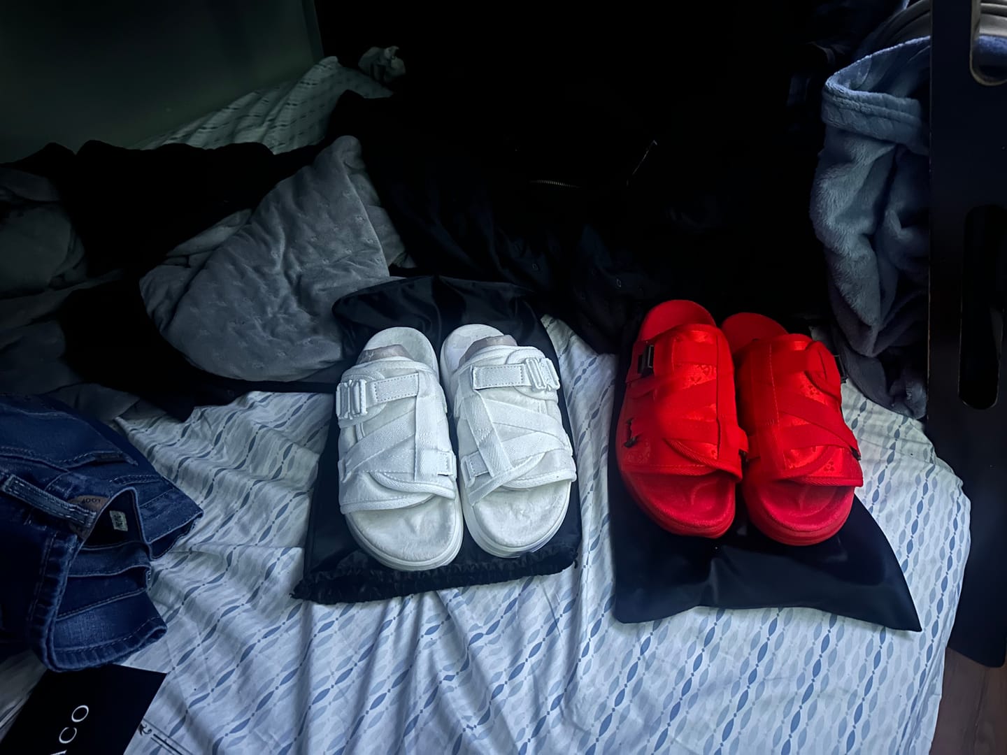 Customer photo review of Mystery DracoSlides
