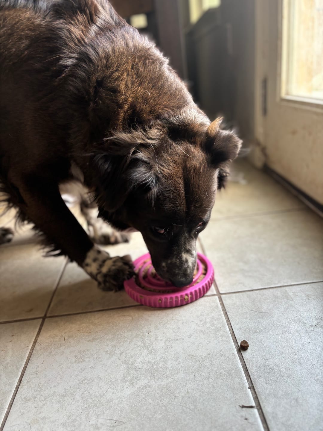 Customer photo review of FreezSwirl - Durable Stimulation Toy