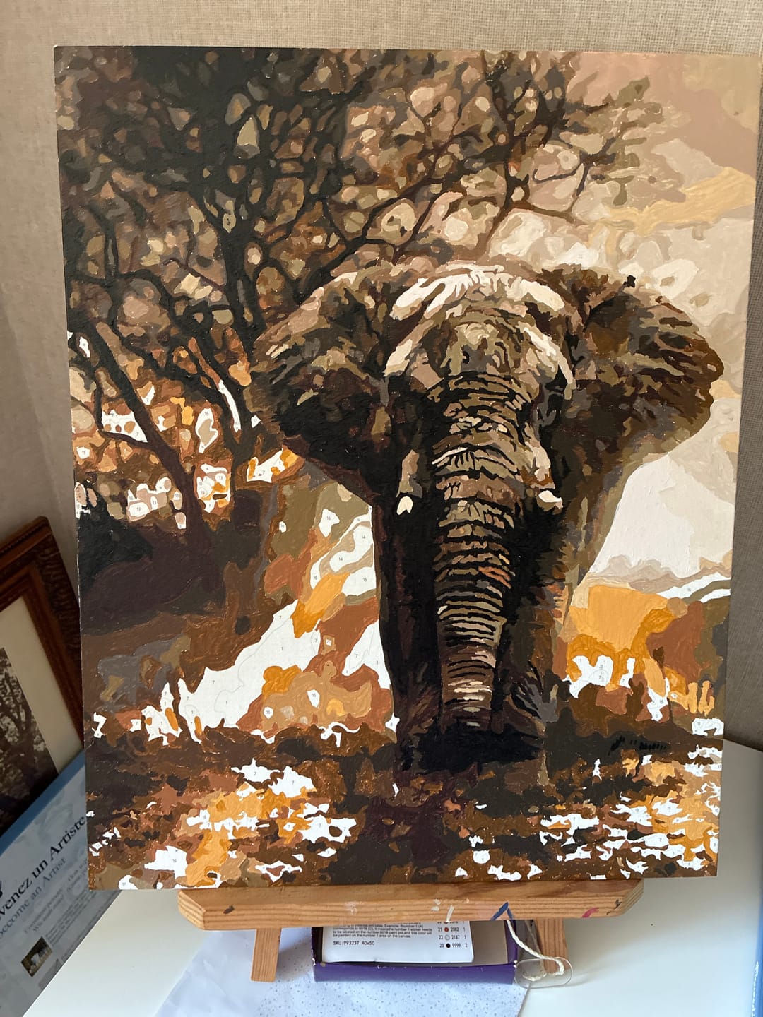 Customer photo review of Eléphant solitaire