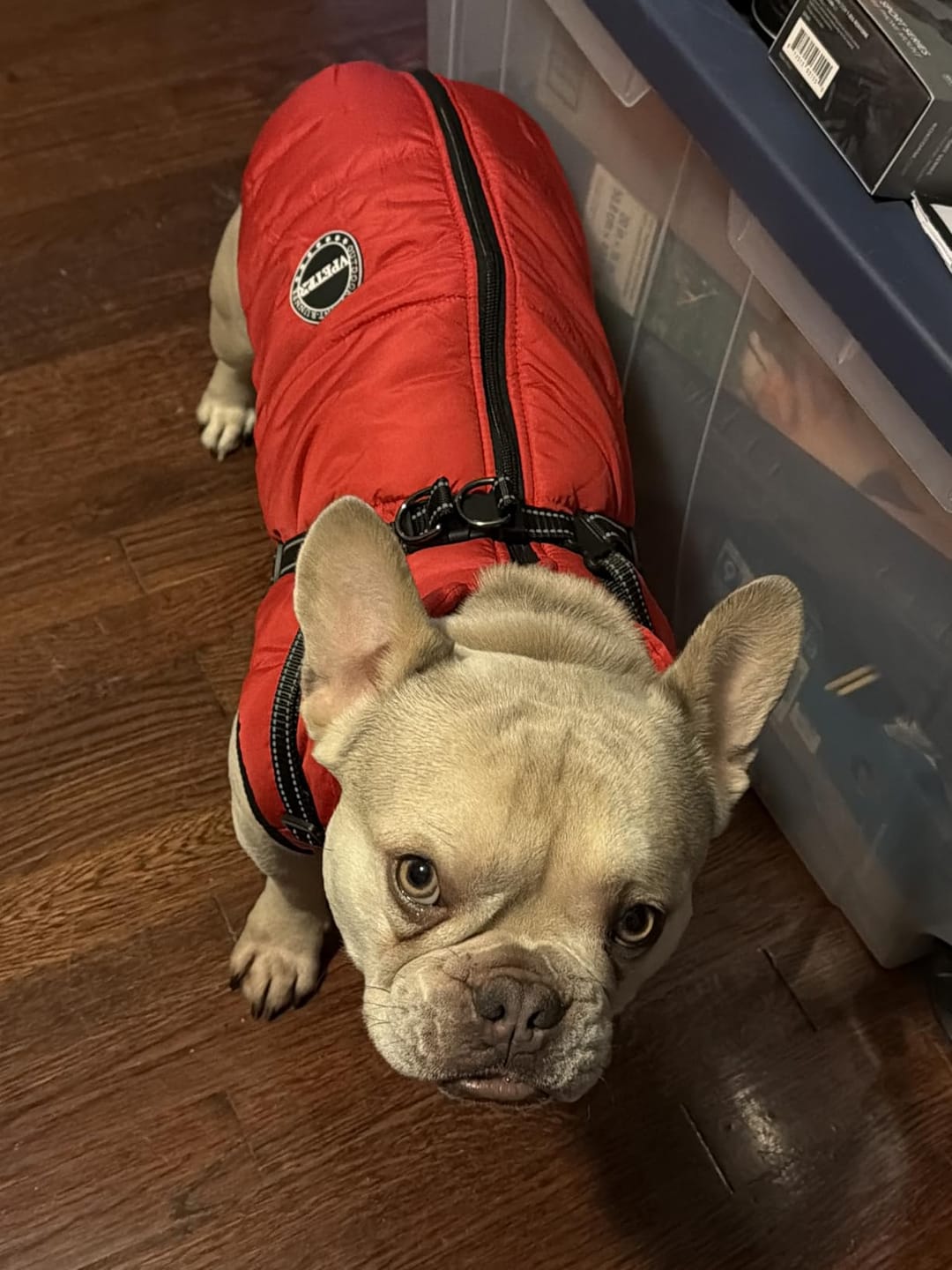 Customer photo review of Plunfy™ Abrigo 3 en 1
