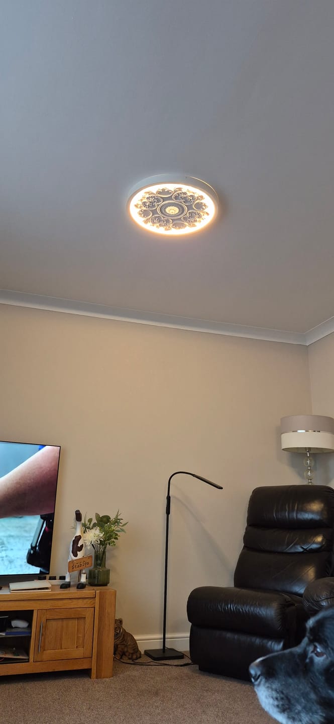 Customer photo review of French Sculptural White Round LED Flush Mount Light