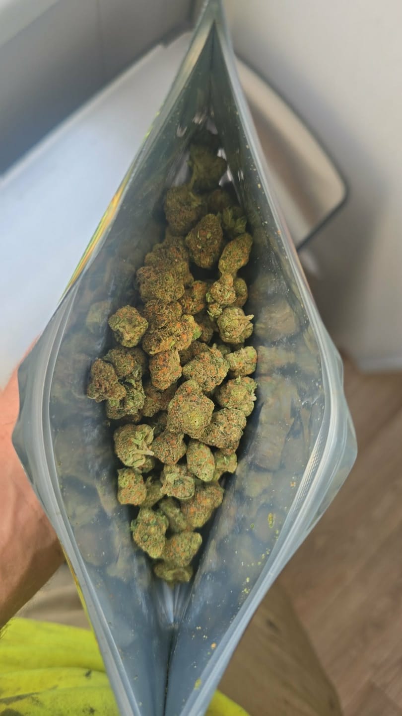 Customer photo review of Bulk Indoor THCA Smalls