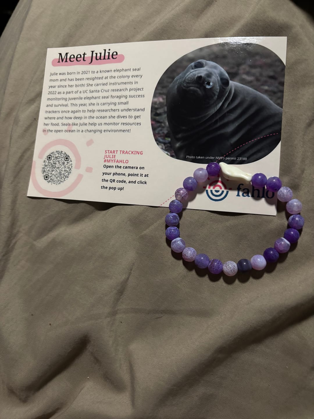 Customer photo review of The Glide Bracelet
