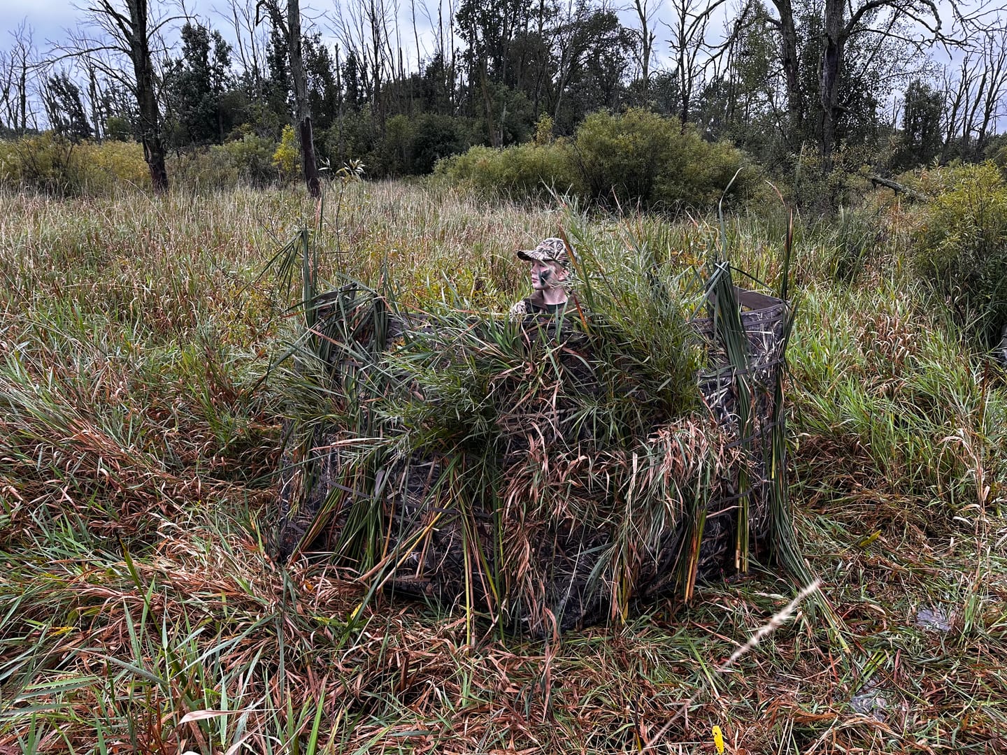 Customer photo review of Modular Panel Hunting Blind | A-Frame Pop Up Duck & Goose Blinds | Portable 3-4 Person Waterfowl Ground Blind Camo