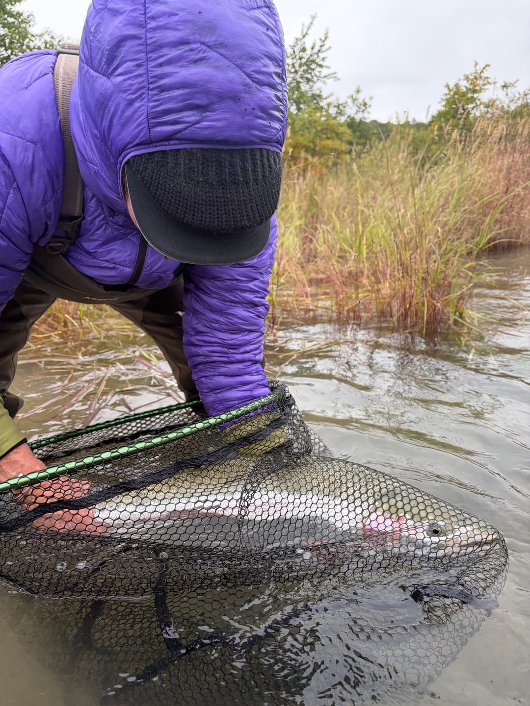 Customer photo review of Bead Hooks - Light
