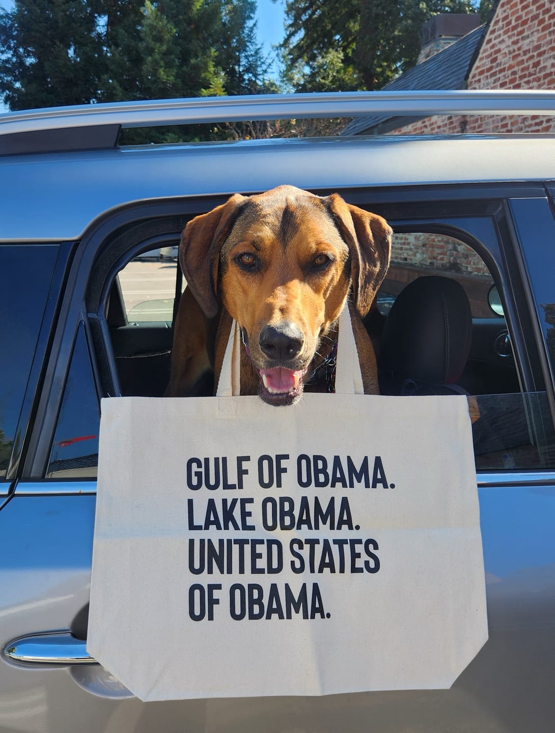 Customer photo review of Gulf of Obama. Lake Obama. The United States of Obama Tote bag