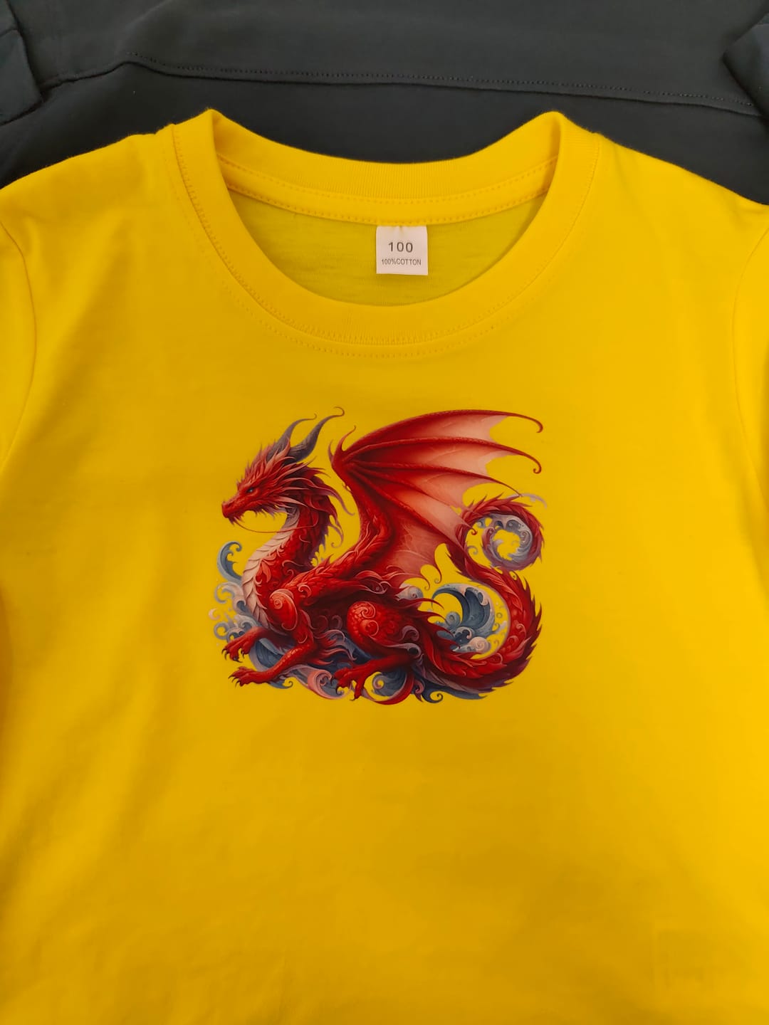 Customer photo review of Bügelbild Drache Rotsturm
