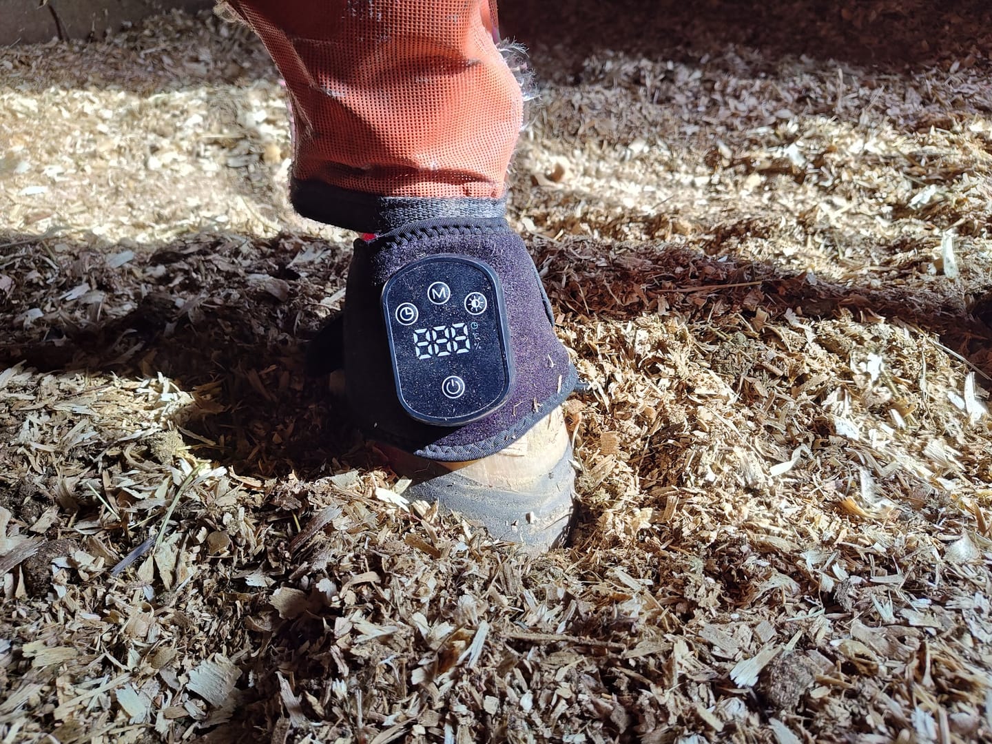 Customer photo review of HorseHalo™ HaloLegs Mini