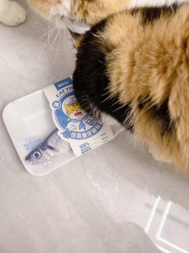 Customer photo review of 100% Natural Catnip Cat Toy