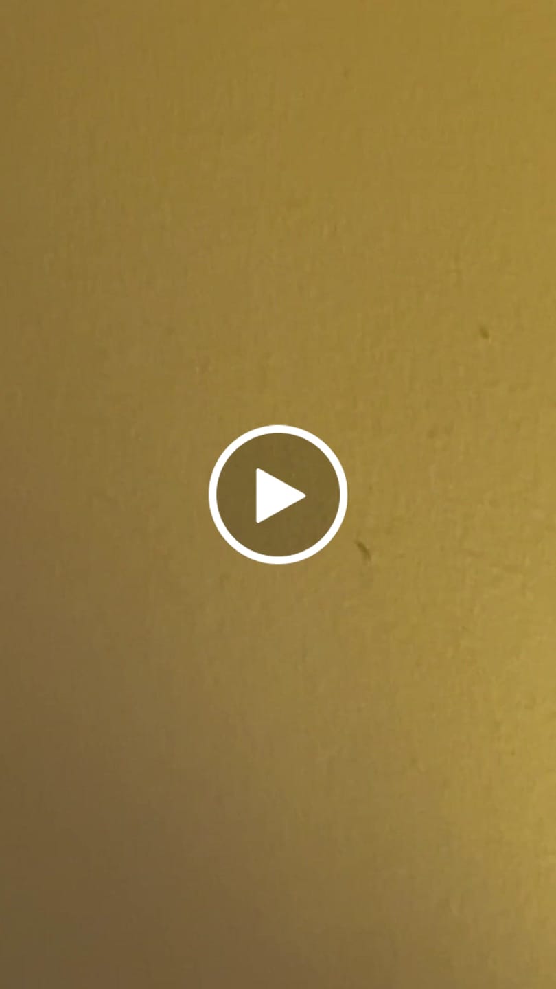 Customer video review of Louie the French Bulldog Pendulum Clock