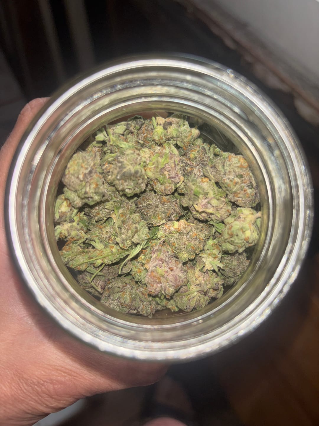Customer photo review of Gush Mintz THCA Flower (Budget)